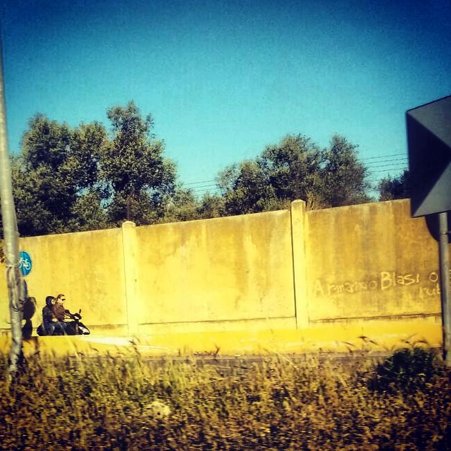 TheHowlers_Ta's tweet photo. S.Vito>Taranto : Pista motociclabile #taranto #thehowlers #bicycle #freeride #norule #dovecazzovai #senzacasco #Fuck http://t.co/V1M38OIuuS