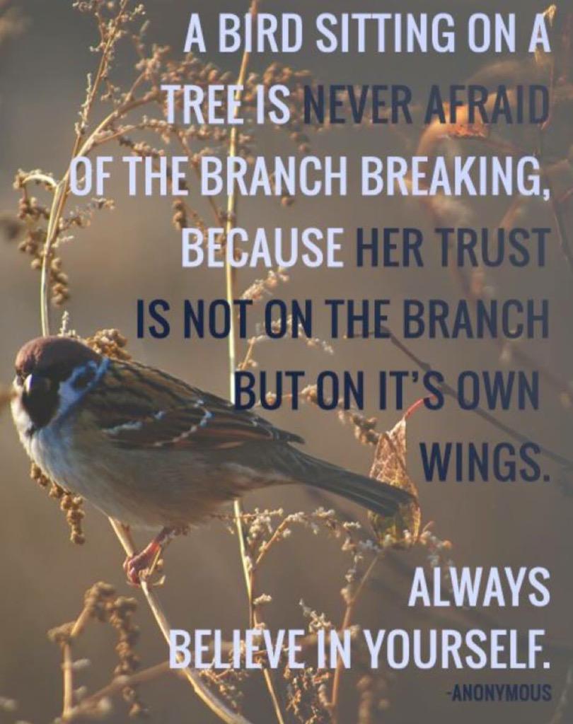 daniellebrewing's tweet image. 