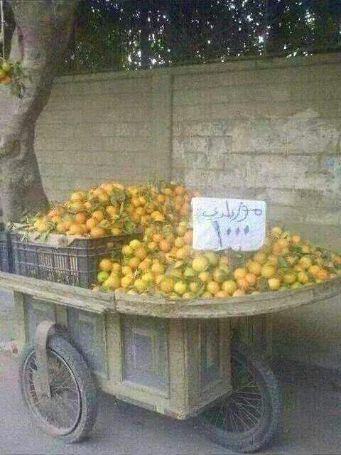 لعمى فكرتن بطيخ