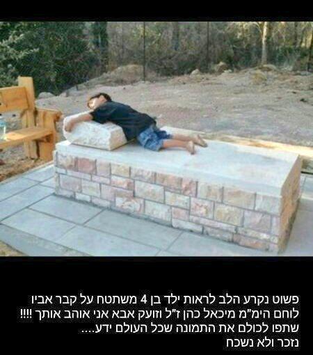 BATEL HABA tweet media