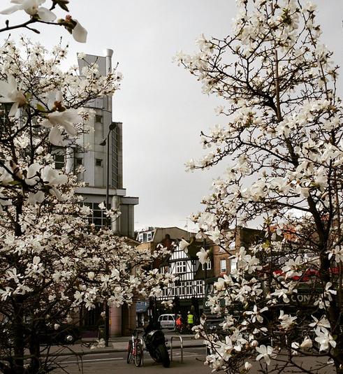 Ca_PR_icorn's tweet image. Morning All! #Londonsspring