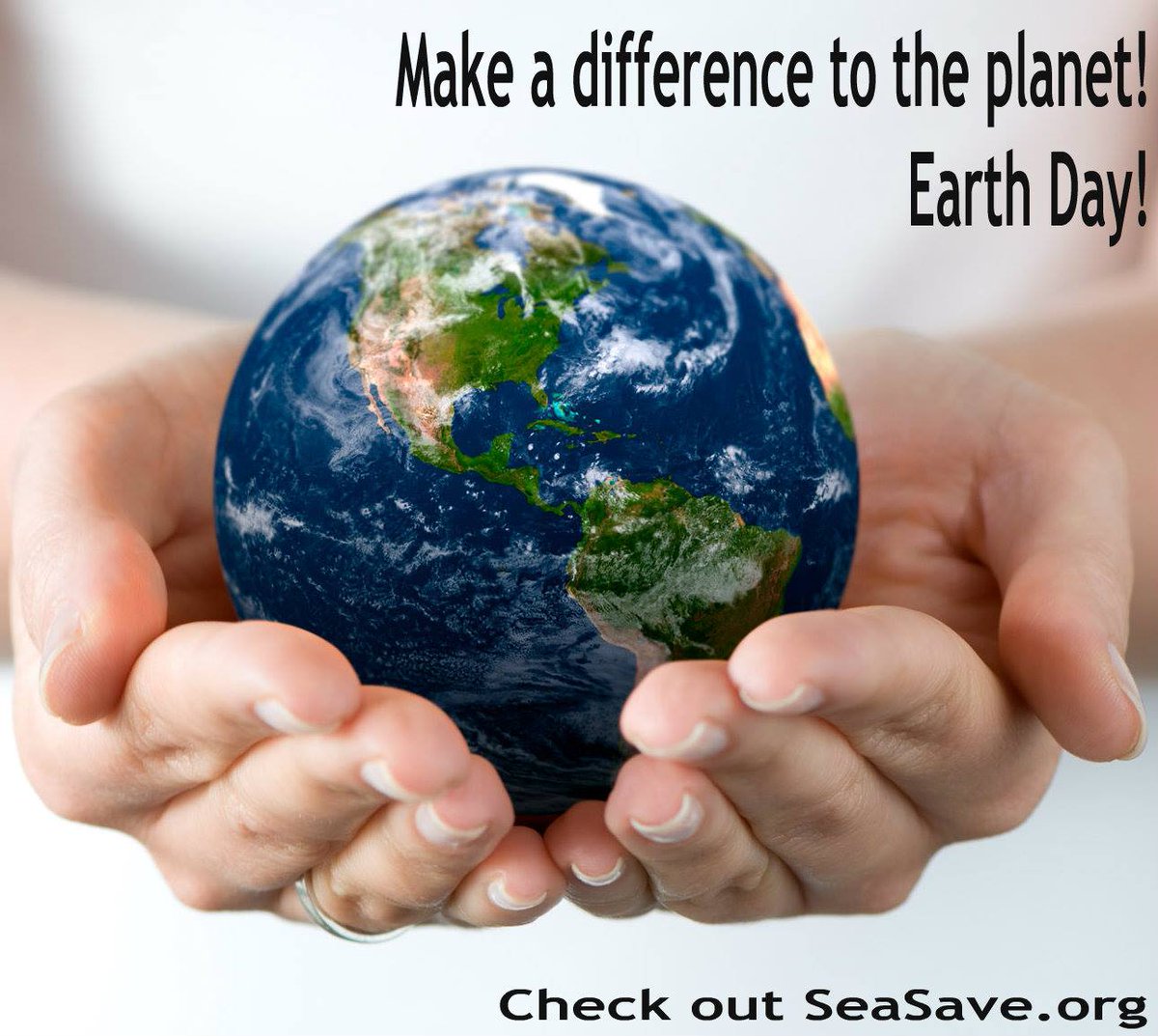 seasave's tweet photo. #EarthDay The Earth is all our hands so join us 2 help save the #Oceans! Upload your FIN pix http://t.co/iu6Dqw5axb http://t.co/FPLC82yMTb