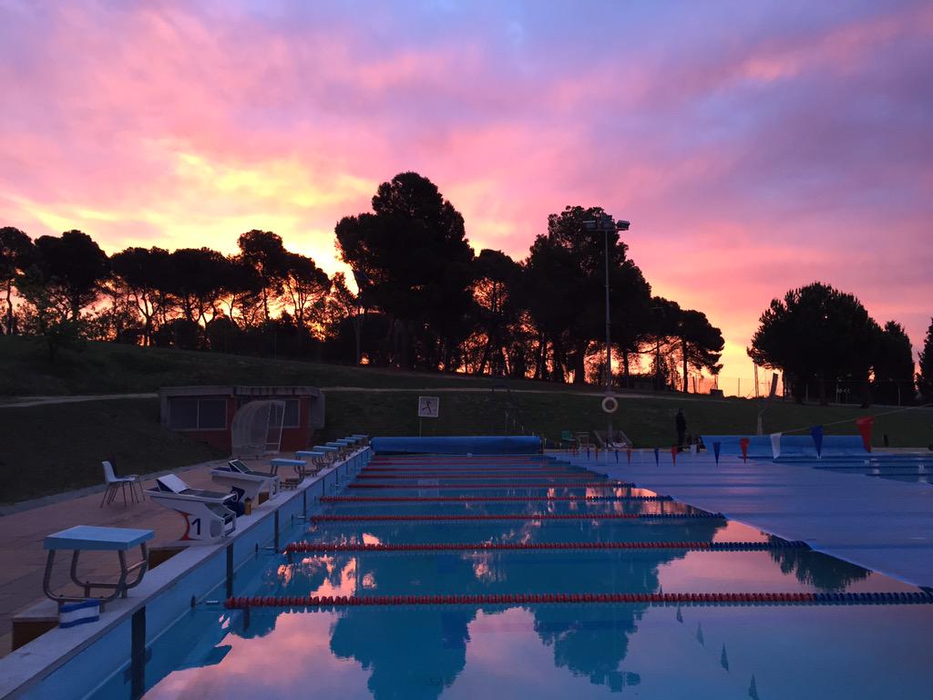 miss_belmont's tweet photo. Esto es lo que nos hemos encontrado esta mañana antes de tirarnos al agua. Así da gusto entrenar! #SinFiltro http://t.co/Aqeb5ozRqh