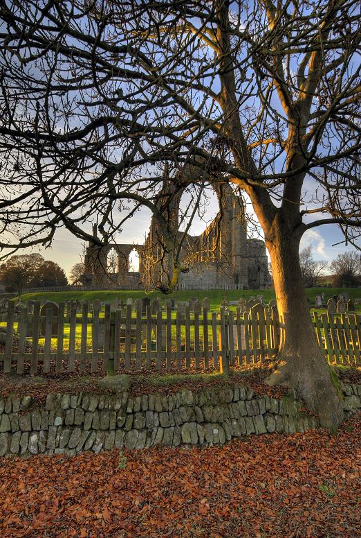 bolton_abbey's tweet photo. Today is #EarthDay: though we'd need more than a day to celebrate the beauty and diversity of nature in #Yorkshire! http://t.co/YRRGvnO87u