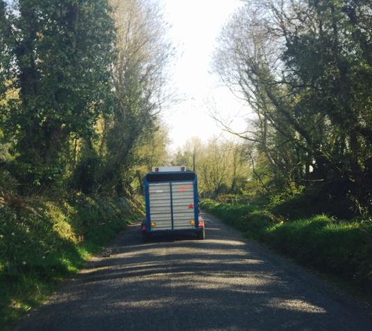 Cazdoestweets's tweet photo. Traffic is mental this morning! #tractorjam #Massey #ireland #summerdays http://t.co/x8QCNi9HD0
