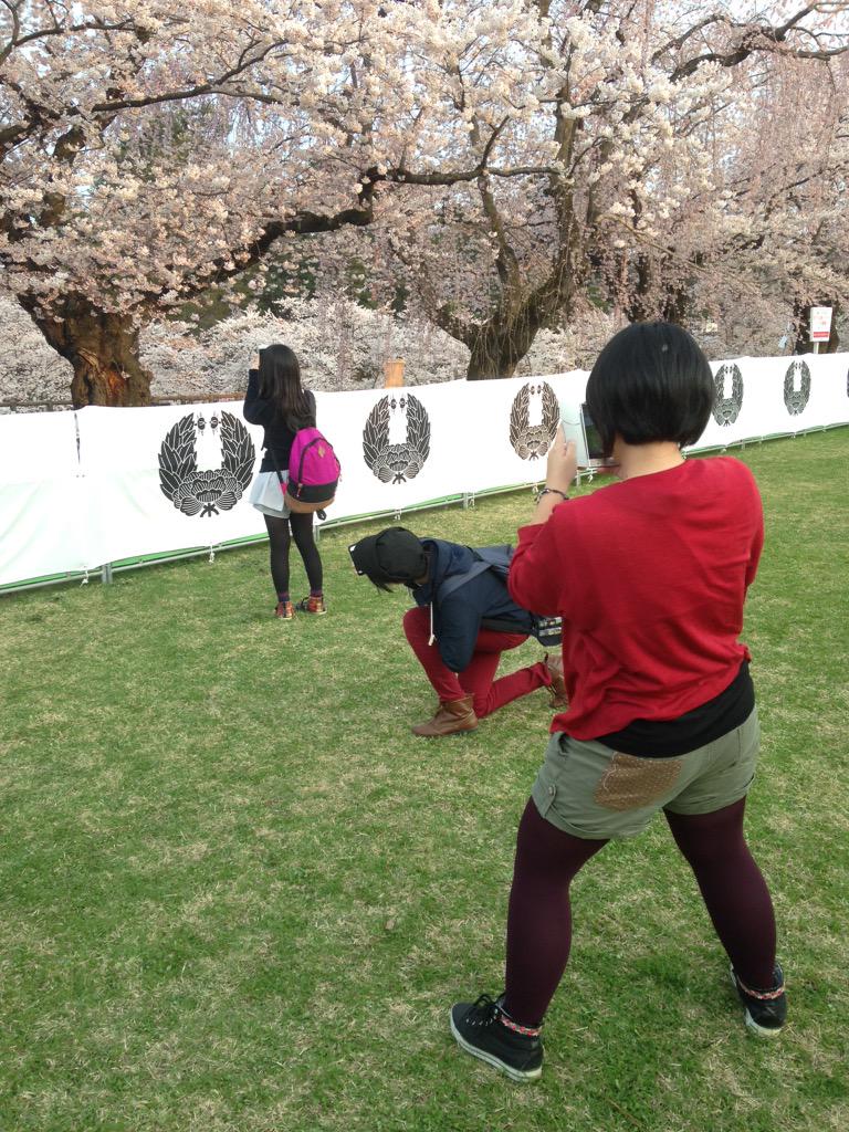__shia1__'s tweet photo. 桜祭りを撮ってる人を撮ってる人を撮ってる人だ!! #Dis2014 http://t.co/MDdiPywIzp