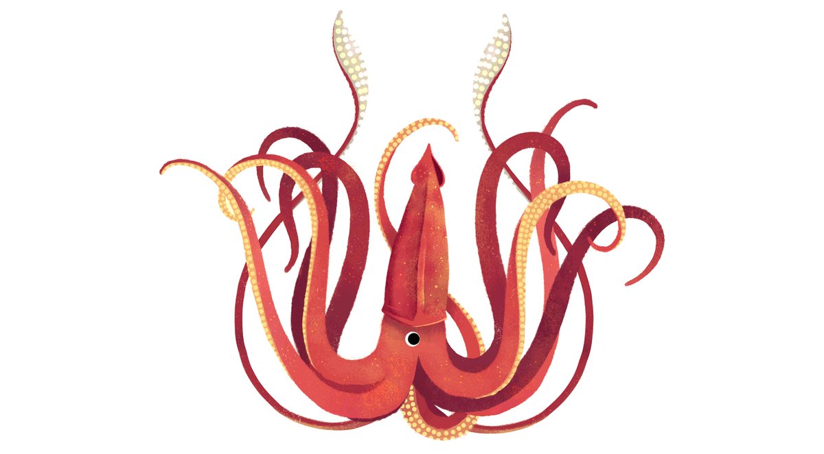 SpraoiSchool's tweet photo. You're a giant squid!You can achieve anything to which you put your mind and/or your massive tentacles.#GoogleDoodle http://t.co/jYlAU17ERJ