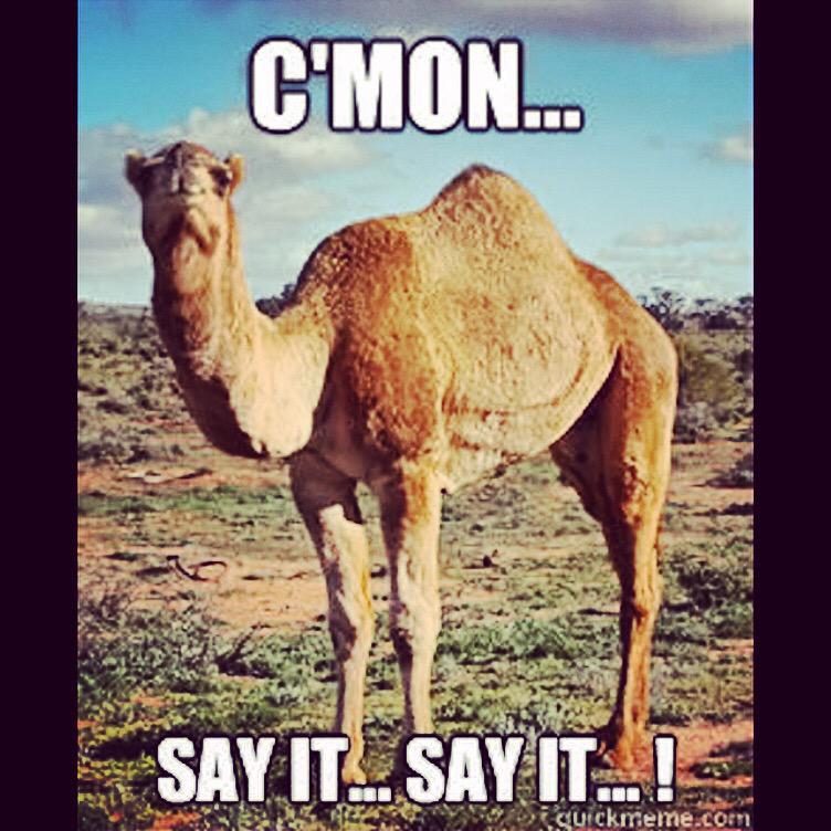 ShawnJohnson's tweet image. 😜 #youknowwhatdayitis