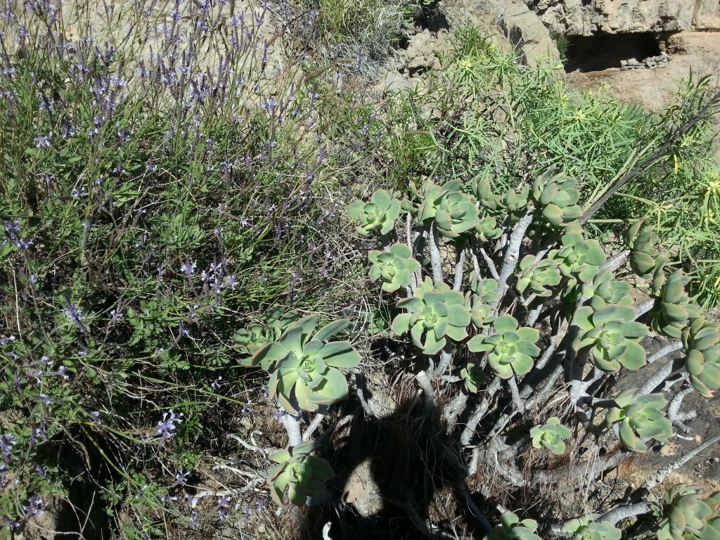 estodotuyo's tweet photo. Hoy celebramos el #DiadelaTierra y es difícil elegir imágenes #IslaDeMonumentos #MásQueSolYPlaya ¡Cuida #GranCanaria! http://t.co/dCBoWX0G5Z