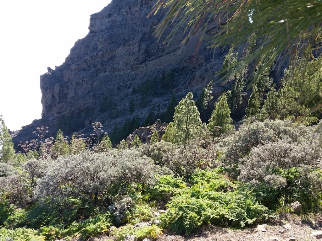 estodotuyo's tweet photo. Hoy celebramos el #DiadelaTierra y es difícil elegir imágenes #IslaDeMonumentos #MásQueSolYPlaya ¡Cuida #GranCanaria! http://t.co/dCBoWX0G5Z