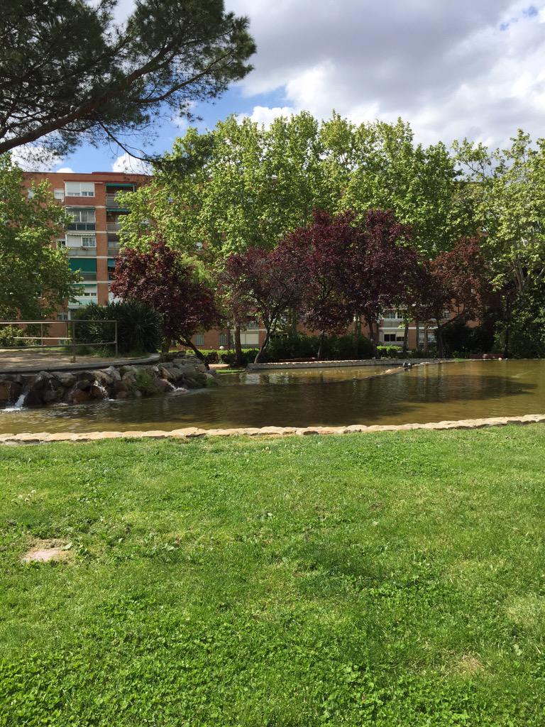 martasebastian's tweet photo. Pasear un rato por los rincones de mi infancia #ParqueZ #Moratalaz http://t.co/mO5Z9C0sEj