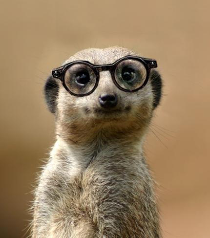 ploughcardiff's tweet photo. You can now #tweetforatable, just tweet us the date, time & number of guests & we'll pop it in our diary! #simples http://t.co/VAJBEmsyH4