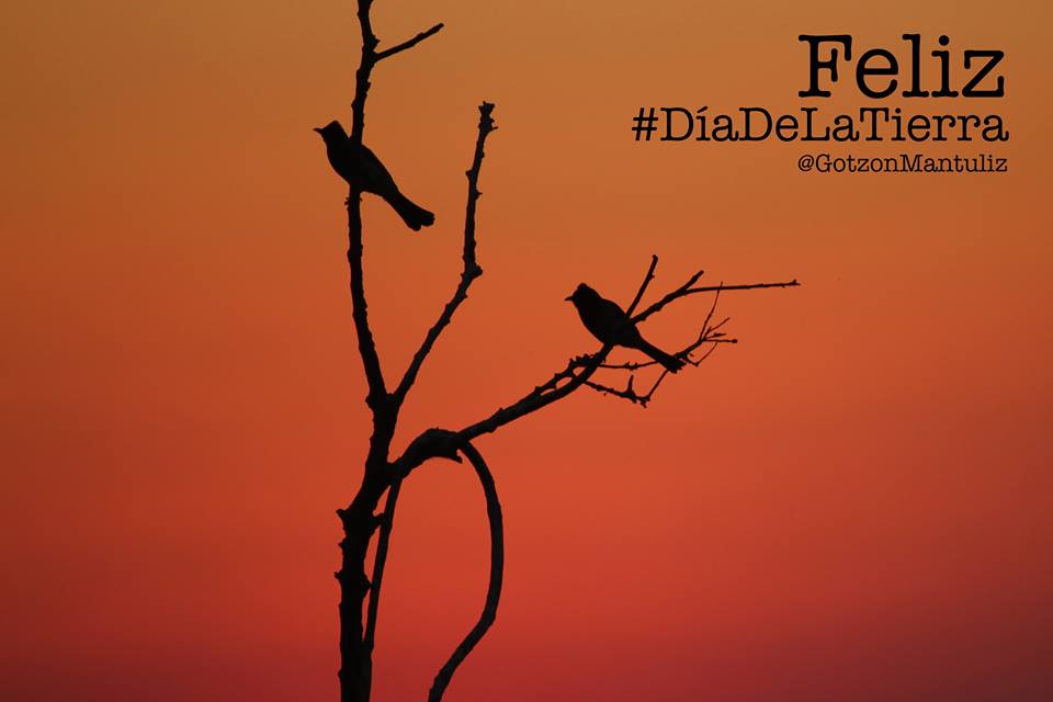 gotzonmantuliz's tweet photo. Feliz día de la tierra!
Es nuestro deber y responsabilidad protegerla.
(Foto: Chobe, Botswana)
#DiaDeLaTierra http://t.co/t5uPwp3qvn