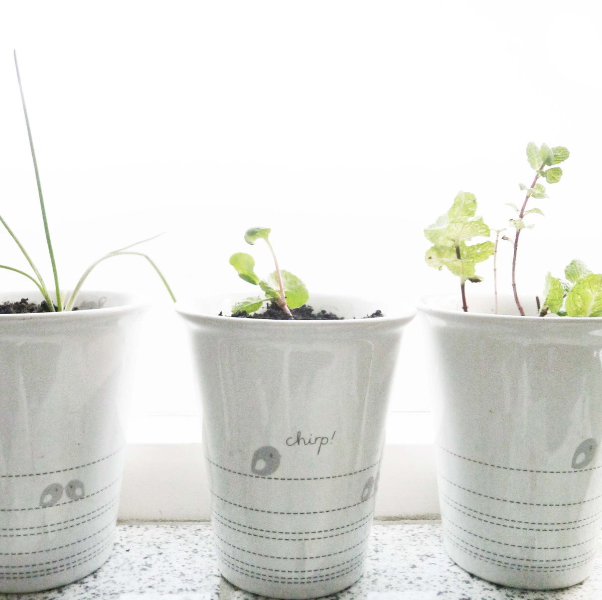 #AHmoestuintje ompotten? Check deze potjes eens! #mokje #kruiden #potje #bloempotje tislifestyle.com/nl/steen-en-ha…