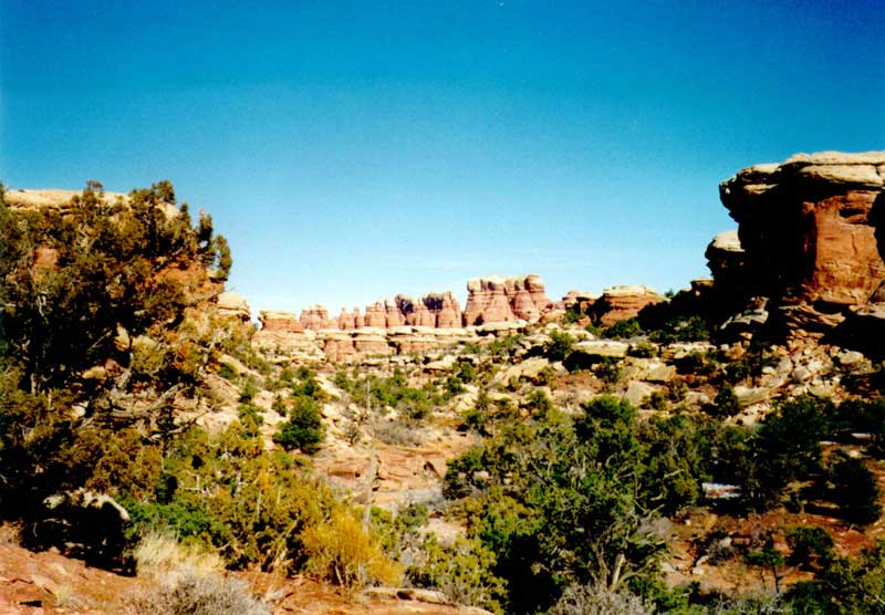 reducepollution's tweet photo. The Desert Ecosystem https://t.co/mVjv0RSc2c  #ecosystem http://t.co/4wXpZN97NK