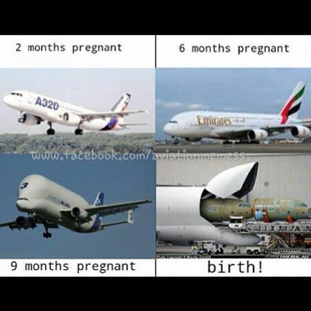 DeltaBravo33's tweet photo. Instagram : by b747f - #Repost @aviation_memes_daily ・・・ Its a boy! 👶✈️ #avmemes #pilot #airlines #privatejet #jet … http://t.co/RDxddacmeG