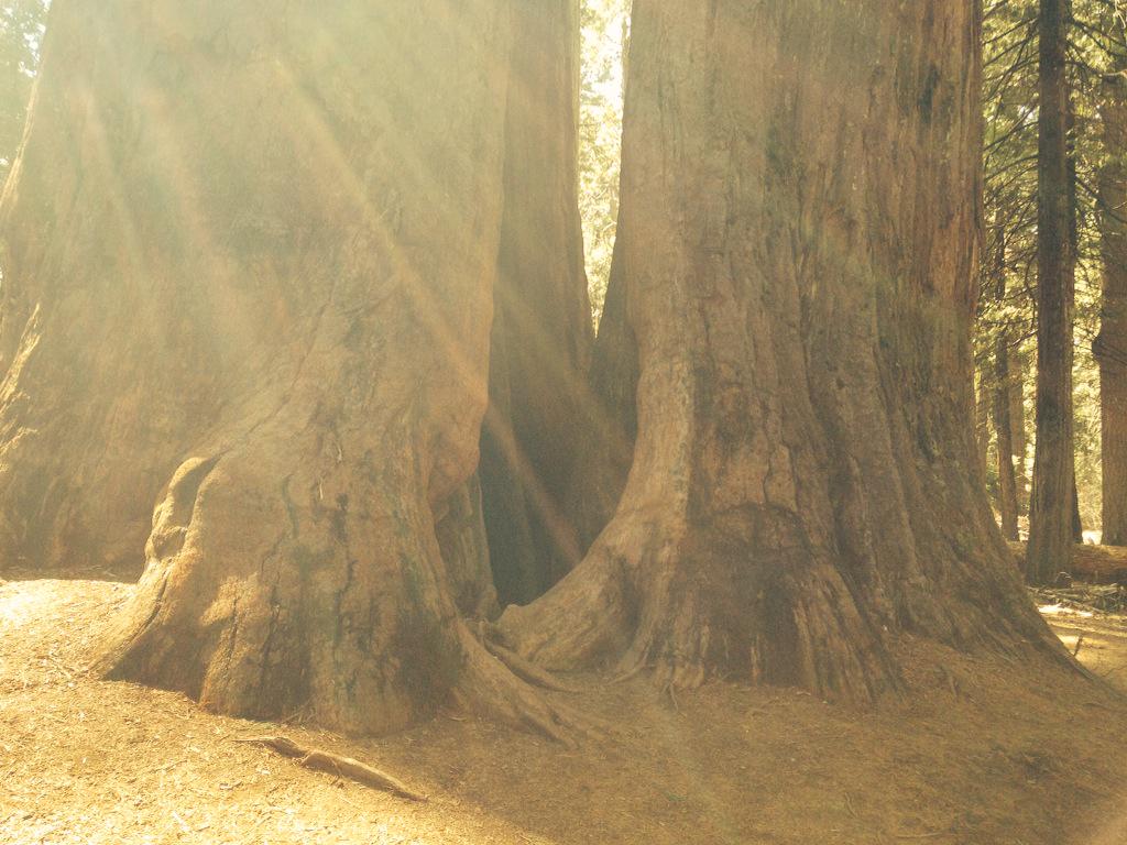 MacNeilMikeAl's tweet image. "He sits enthroned above the circle of the earth..." Is 40:22  Happy Creator of the Earth Day! #EarthDay2015 #kupulse