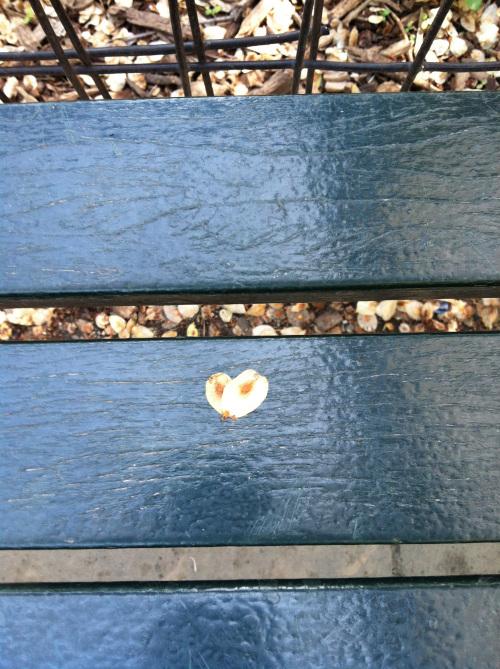 PlantMe's tweet photo. #EarthGratitude #Winks #Messages #Hearts #Faith #Little #Hellos #Rooting o4 this THANK YOU! http://t.co/oRk1O0g4Vp