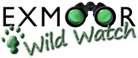 RT <a href="/WildlifeENPA/">Exmoor Wildlife ENPA</a>: Take part in #WildWatch2015 and conserve #Exmoor's wildlife! Details here:  ow.ly/Lx7fA