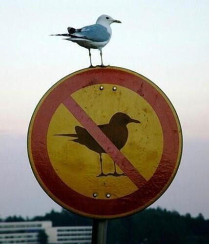 _Paisajes_'s tweet photo. Desafiando las normas... http://t.co/YzbMdeC0dx