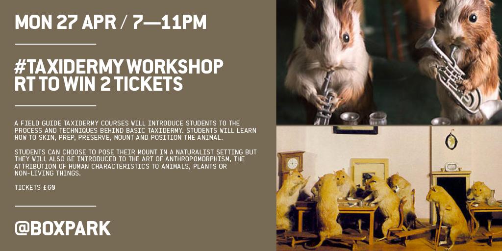 boxpark's tweet image. Get your RTing fingers ready... RT &amp;amp; follow to WIN 2 tics to our #taxidermy workshop &amp;gt;&amp;gt;&amp;gt; boxpark.co.uk/event/taxiderm…