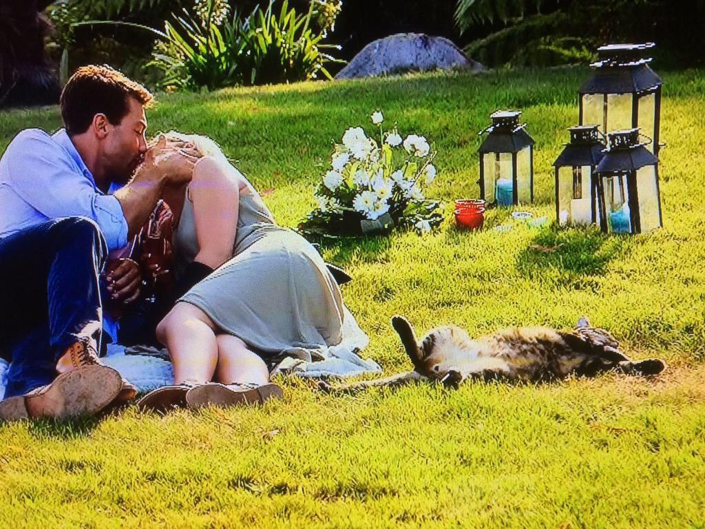 realitynrose's tweet photo. Three smitten kittens! #TeamMatilda #TheBachelorNZ http://t.co/6Vf8XeREGj
