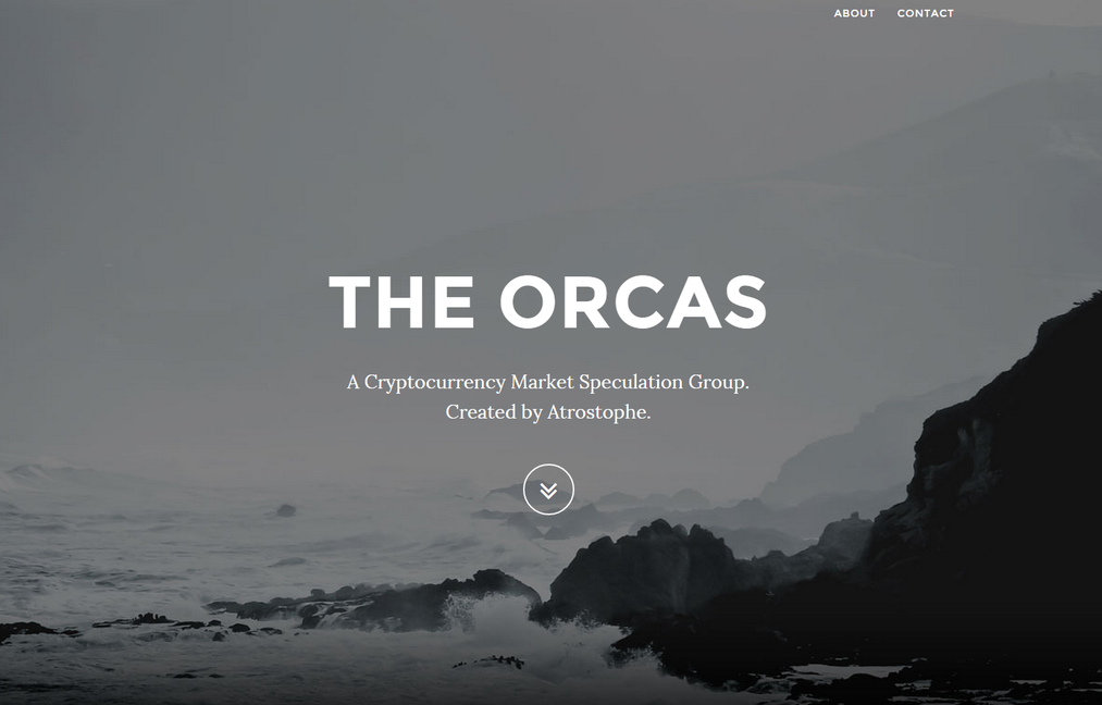 bitensure's tweet photo. @BitcoinBully The Orcas Cryptocurrency market speculation group - tips before the're tweeted http://t.co/gfneXngLCg http://t.co/2c8EJnDyoR