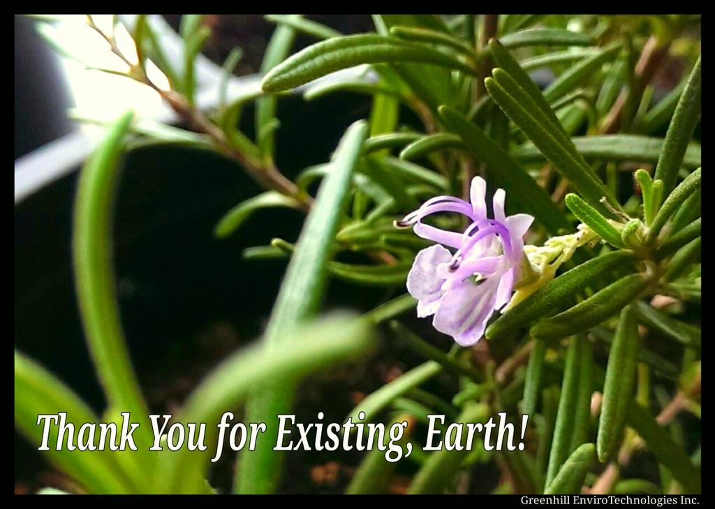 Happy Earth Day!
#EarthDay #SolarHeat #OkapiApp #Innovation #Cleantech #SolarApp #Climate #greenliving #ecoliving