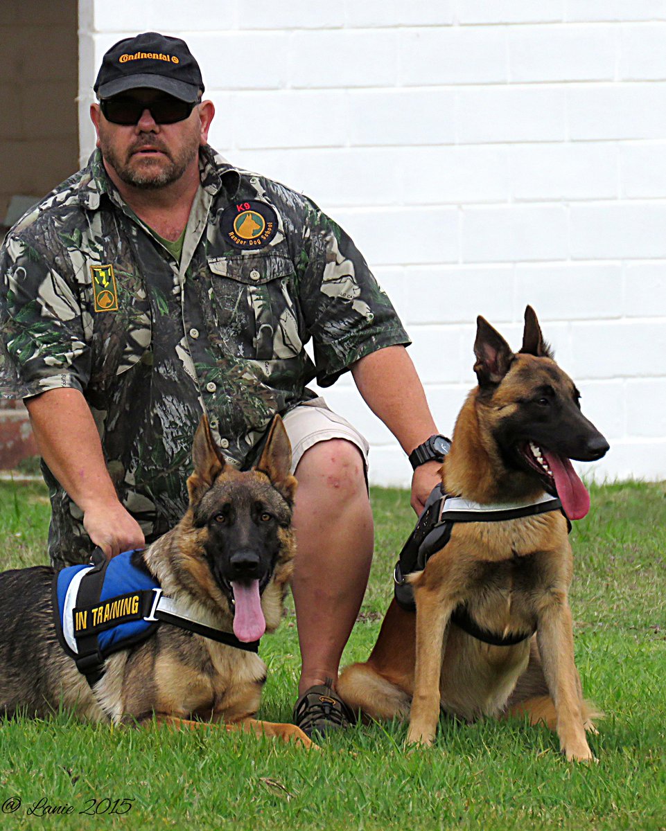 K9Ranger's tweet photo. The pride of K9 Ranger Dog School in  training http://t.co/80GPw50G9t