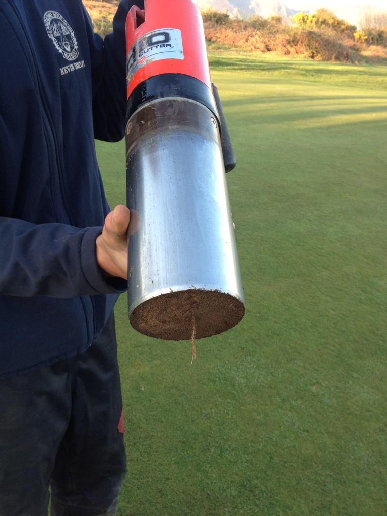 Good deep rooting #healthygreens