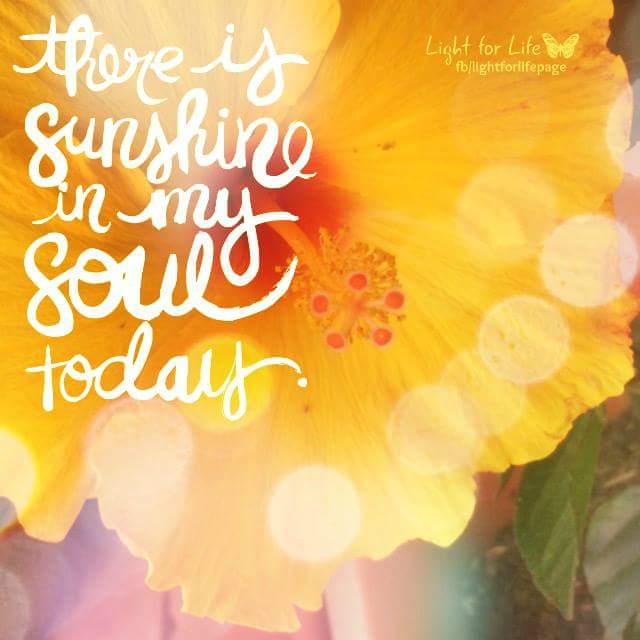 DesignsofColors tweet picture