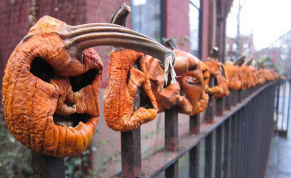 WebmailZabr's tweet image. If You Celebrated Halloween Only on Pinterest. bit.ly/1DhgkNT holidaysevents