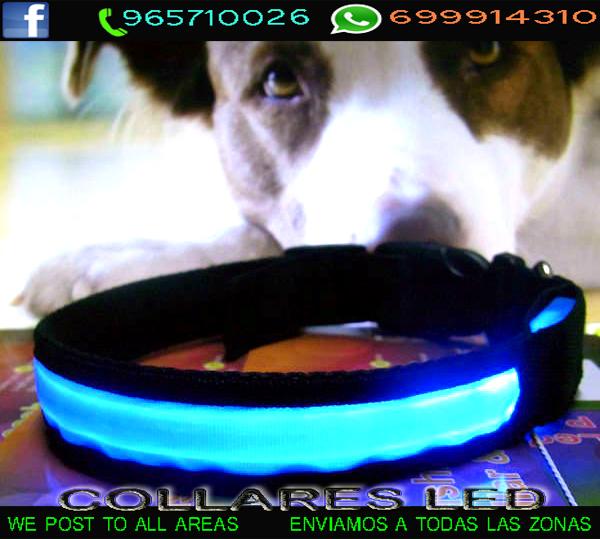 collaresled's tweet photo. #TronoChicos http://t.co/pPH4YynkRm