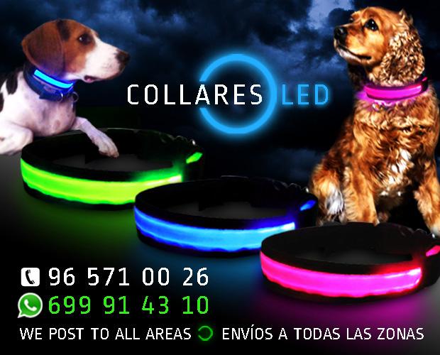 collaresled's tweet photo. #TronoChicos http://t.co/kA28zSv2Vb