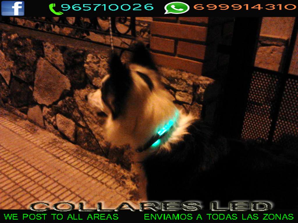 collaresled's tweet photo. #TronoChicos http://t.co/CnusdyzdOk