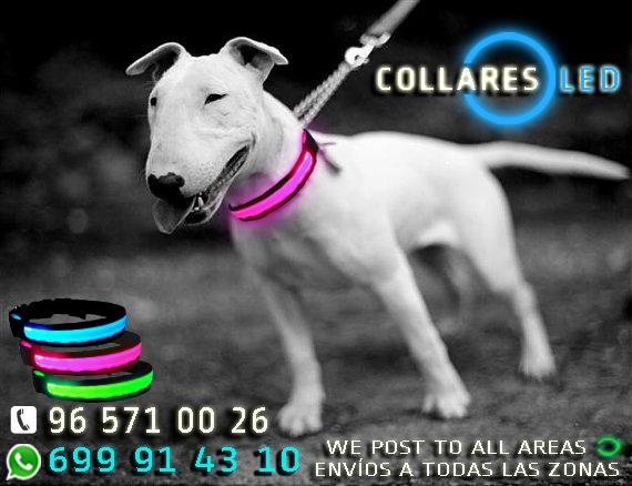 collaresled's tweet photo. #TronoChicos http://t.co/KYYQmBaIso