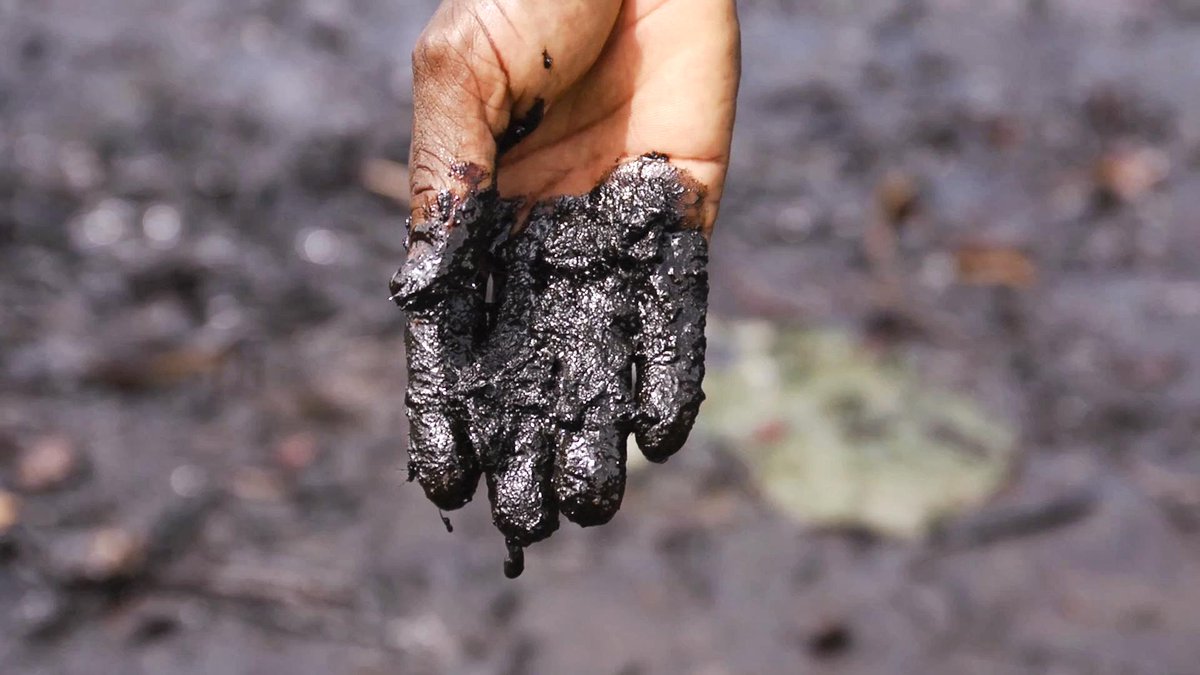 amnestyusa's tweet photo. If we fail our environment, we fail to protect our #HumanRights &amp; the rights of future generations. #EarthDay http://t.co/zxsfc4rSi6