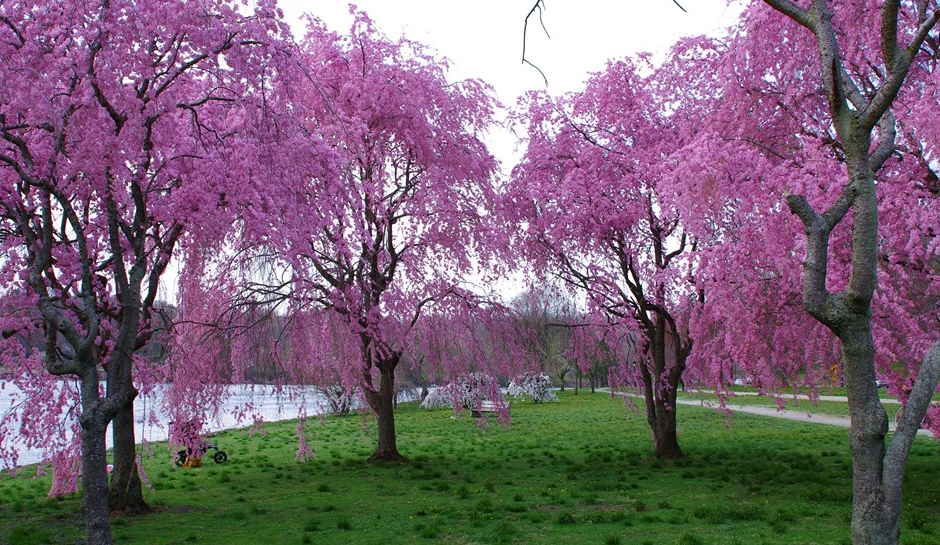 SummitReporting's tweet image. Summit Court Reporting offers court reporting on this lovely spring day! #Philadelphia  ow.ly/LXuf7