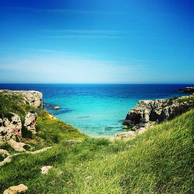 CostadeiTrulli's tweet photo. Caraibi in #Puglia #Monopoli #EarthDay http://t.co/MtowVWAtmc