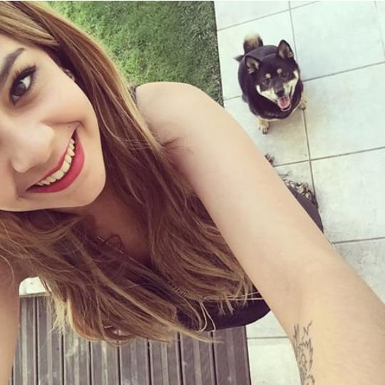 Permalien de l'image intégrée