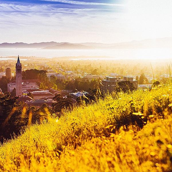 CalAthletics's tweet photo. Happy #EarthDay, Golden Bears! (photo cred: Instagram user dawinsee) http://t.co/j7JavkWRwh