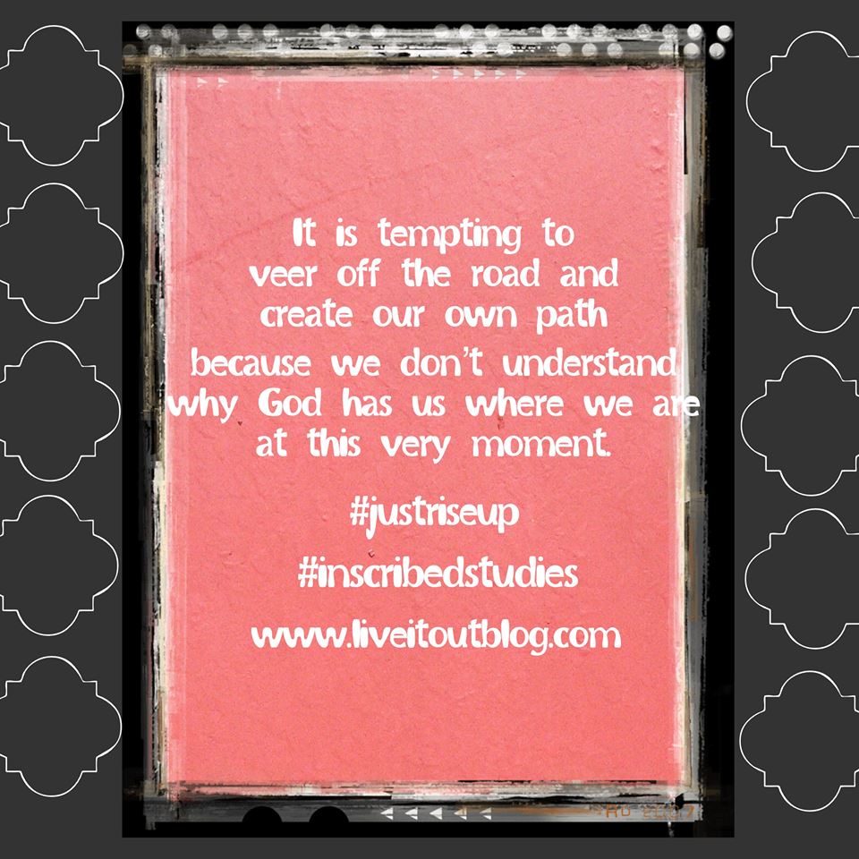 InscribedStudy's tweet photo. It is tempting to veer off the road and create our own path… #SarahFrancisMartin #JustRISEUP #InScribedStudies http://t.co/HJLUZdpMPV