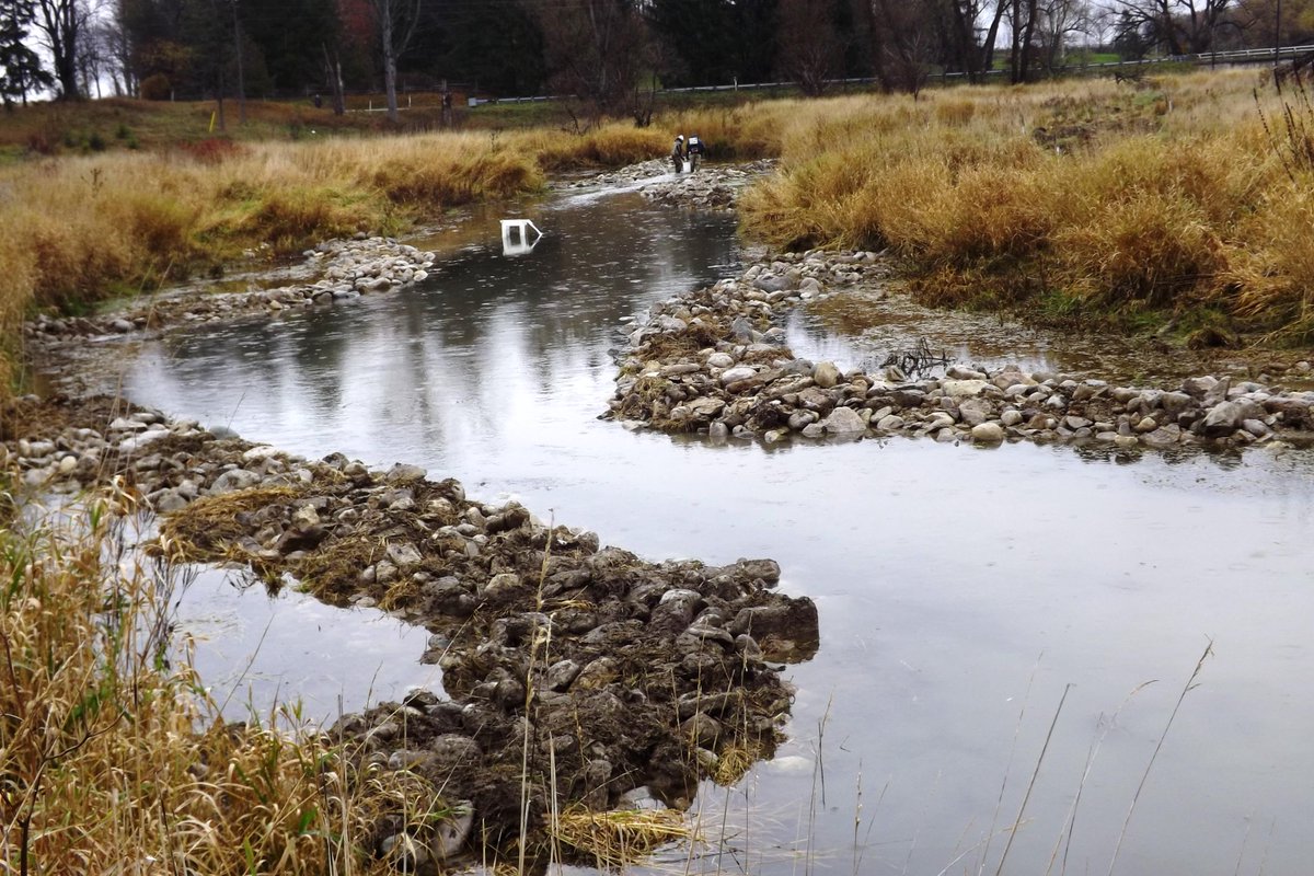 CraigMerkley's tweet photo. Low flow channel in action..  fall and spring Medway Creek http://t.co/M99IXxfXAG