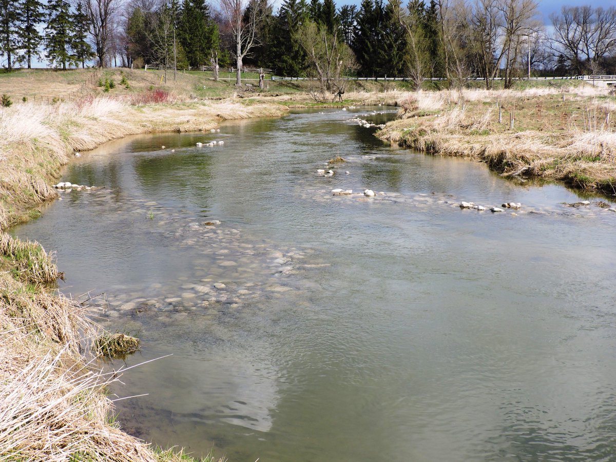 CraigMerkley's tweet photo. Low flow channel in action..  fall and spring Medway Creek http://t.co/M99IXxfXAG