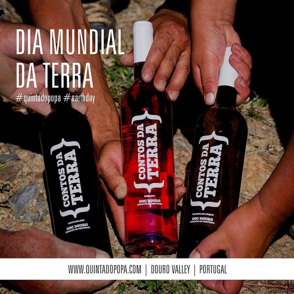 QtaDoPopa's tweet photo. Celebrating Earth Day with the Contos da Terra (Land Story) wine 👌😉 Let's CHEERS #winelovers! 🍷💛 http://t.co/zXsoKtgHZo
