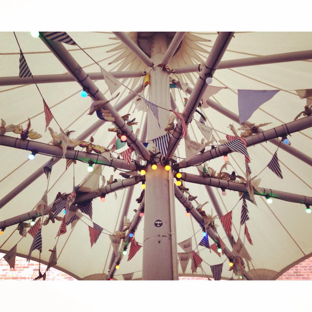sundownlive's tweet photo. The birds have arrived 🙈 http://t.co/J5mN0G5iBw