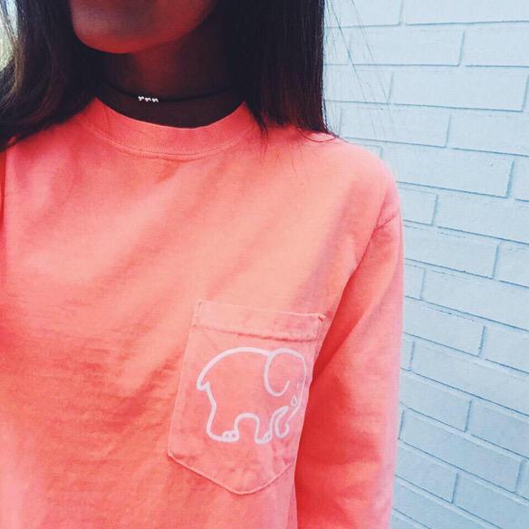 IVORY ELLA tweet media