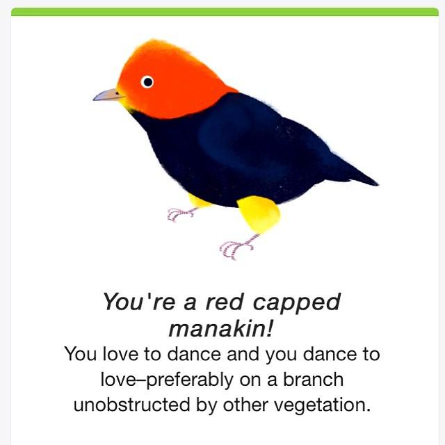 StarlabStudios's tweet photo. Marc's earth day #googledoodle creature #redcappedmanakin http://t.co/NZWxpq7bI0