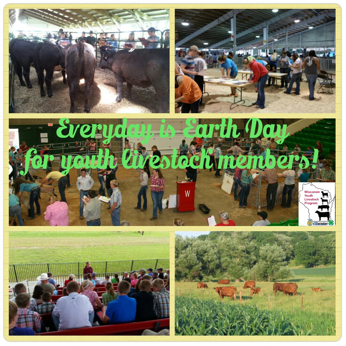 wiyouthlvstk's tweet photo. Everyday is #EarthDay for @wiyouthlvstk youth! 4-H and FFA strong! http://t.co/f9sb4q0zp9