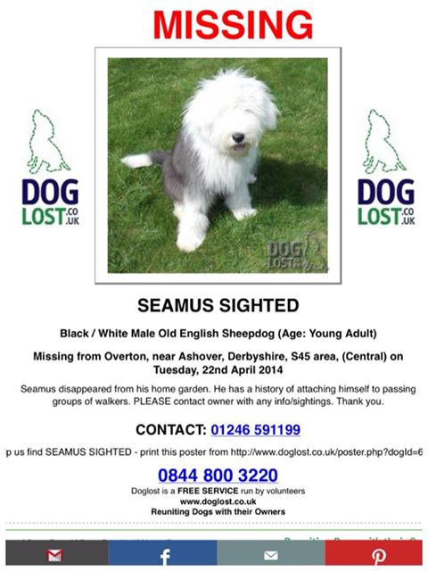 WCockapoo's tweet image. Missing one year today